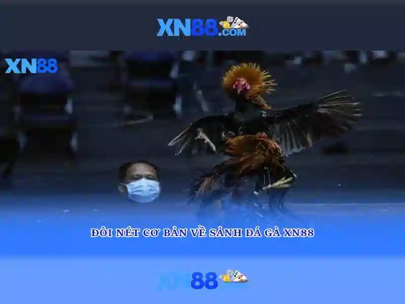 xn88: Nen tang tro choi truc tuyen va cong dong nguoi choi