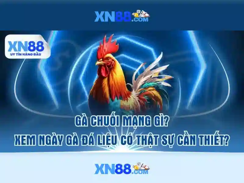 Tuyên bố tuân thủ PAGCOR 2026 tại xn88
