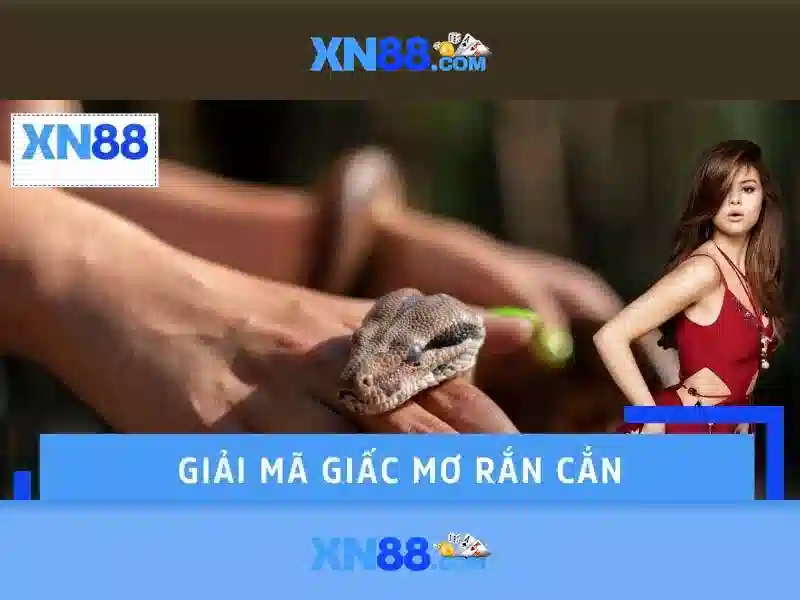 Trò chơi và thể loại