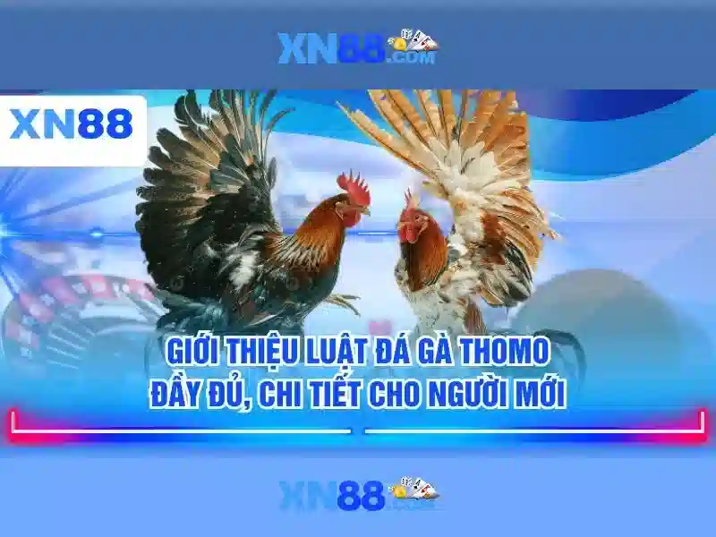 xn88: Nền tảng cá cược trực tuyến uy tín và tiện ích