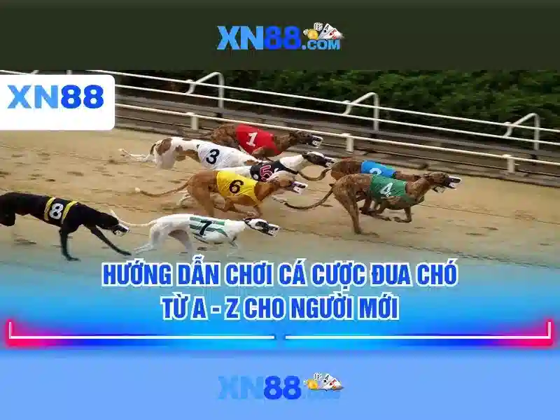 Độ tin cậy và an toàn trên xn88
