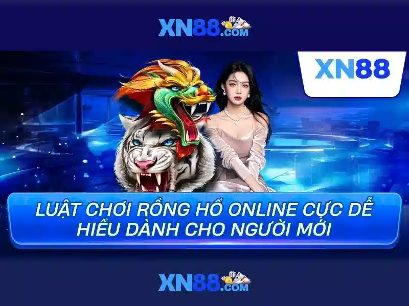 Giới thiệu về Xn88