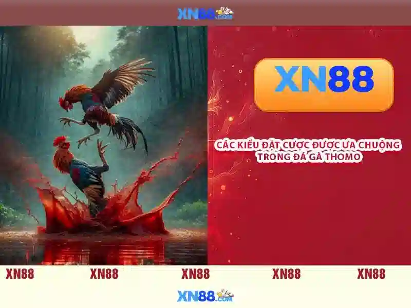 XN88: Tổng quan và những điều cần biết