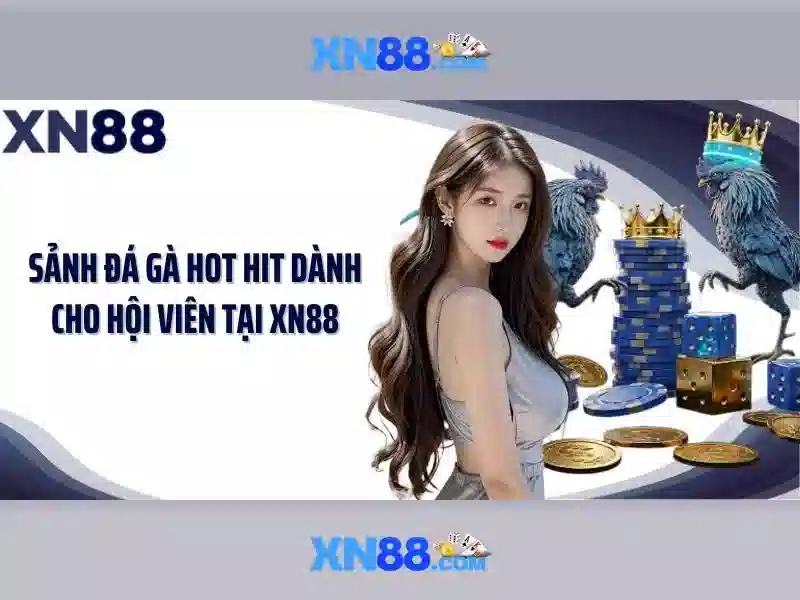 Góc nhìn về xn88