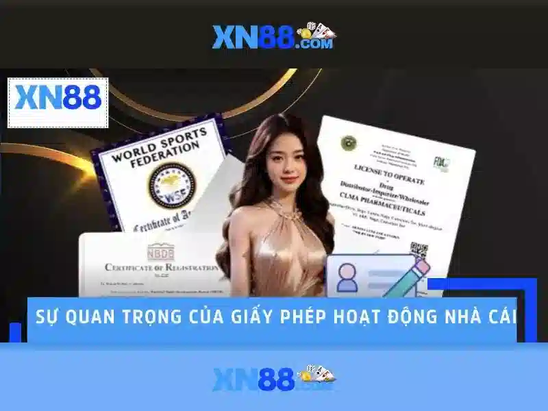 Hỗ trợ người dùng