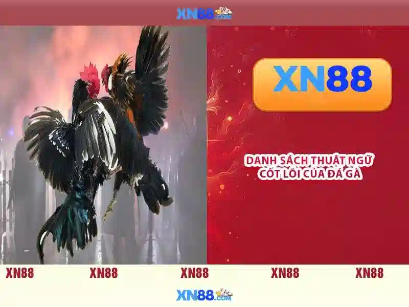xn88 - Phân tích và đánh giá nền tảng cược trực tuyến