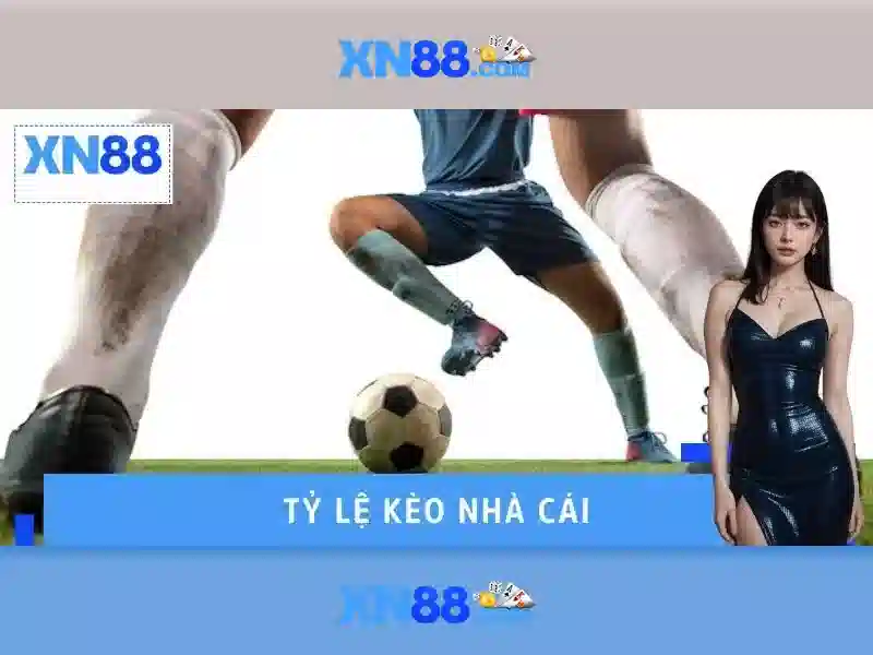 Kết nối và sự kiện cộng đồng