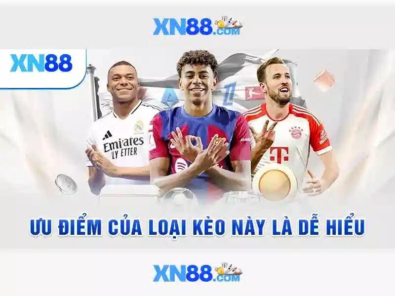 xn88: Giới thiệu và các khía cạnh quan trọng