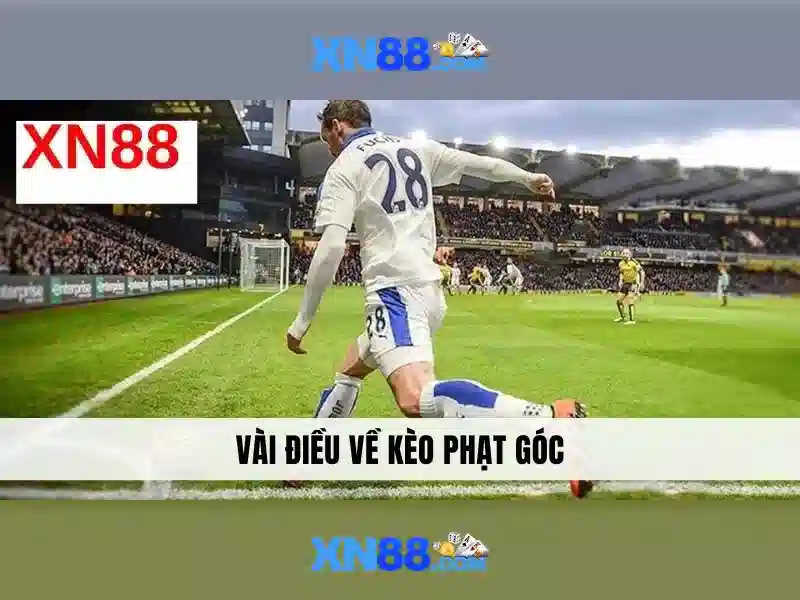 Kết nối và cộng đồng xn88