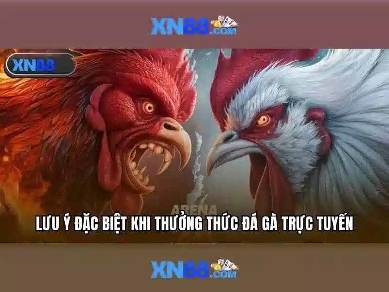 Giới thiệu về xn88