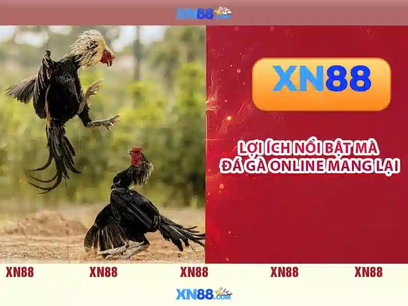 Quy trinh xac minh tuoi tac cua nguoi choi