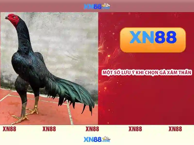 Giới thiệu về xn88