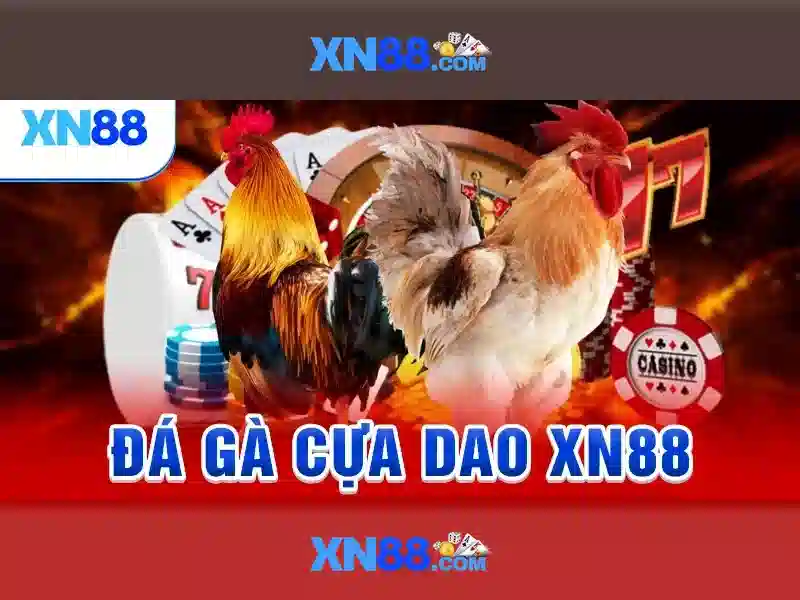 Lịch sử hình thành và tầm nhìn