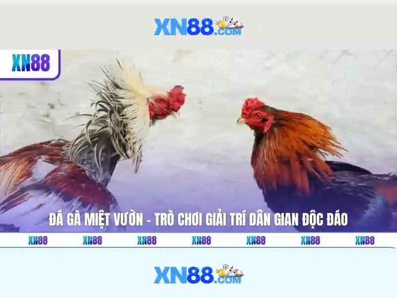 Các tính năng nổi bật của xn88