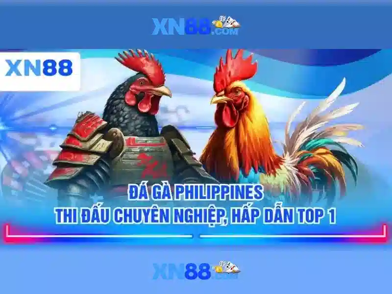 Xn88: Tổng quan về nền tảng cá cược và trải nghiệm người dùng