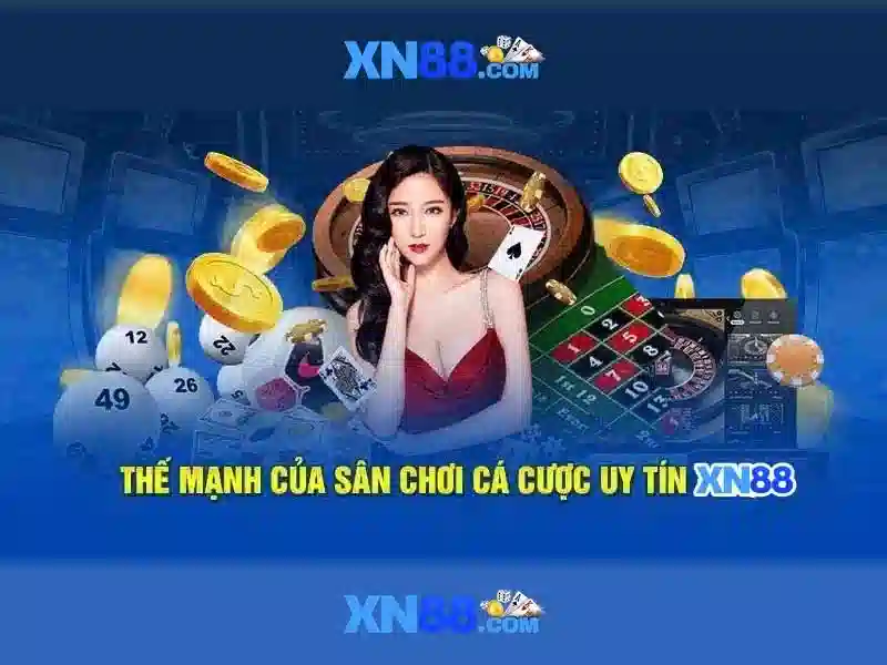 Trải nghiệm người dùng và tính linh hoạt