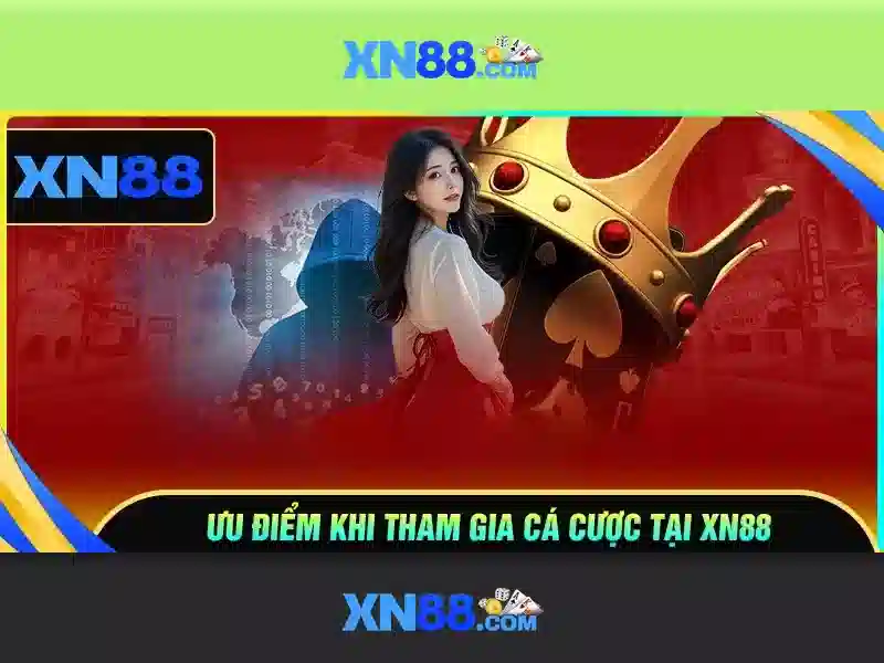Lưu ý an toàn và quản lý rủi ro