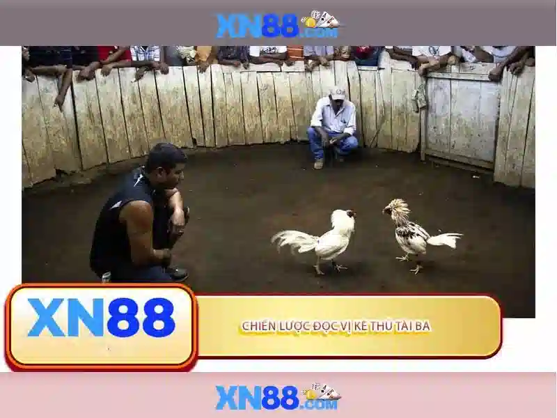 xn88 là gì
