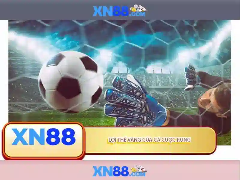 Nguồn gốc và tính hợp pháp
