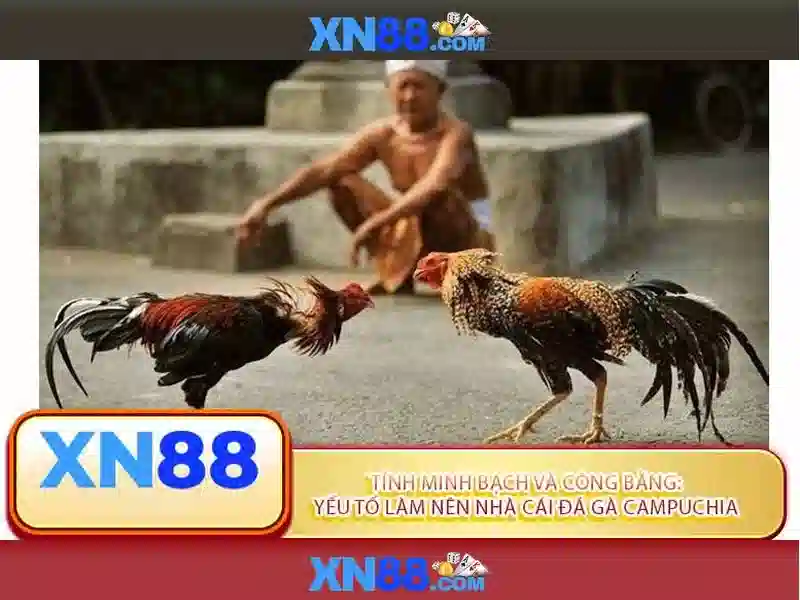 Giới thiệu xn88