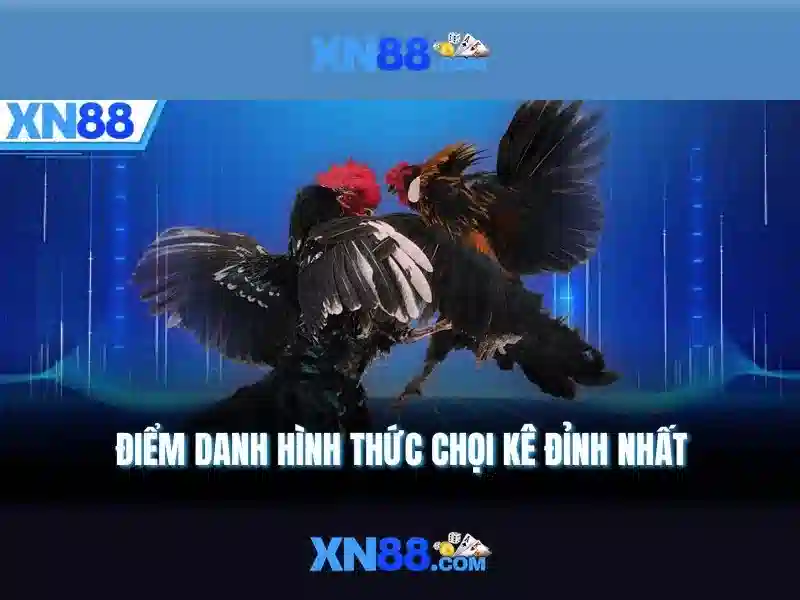 Giao diện và trải nghiệm người dùng