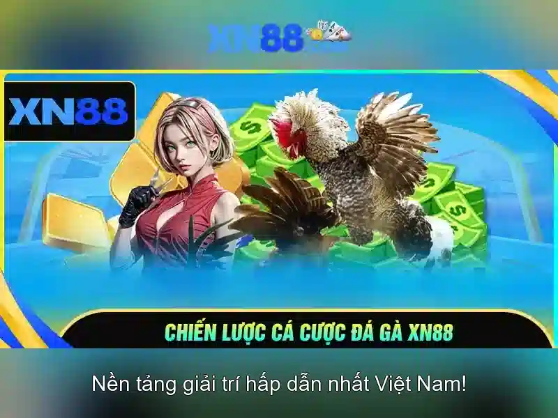 Liệt kê tính năng đặc biệt của xn88