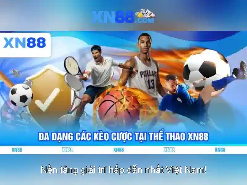 Lộ trình cải tiến và tương lai