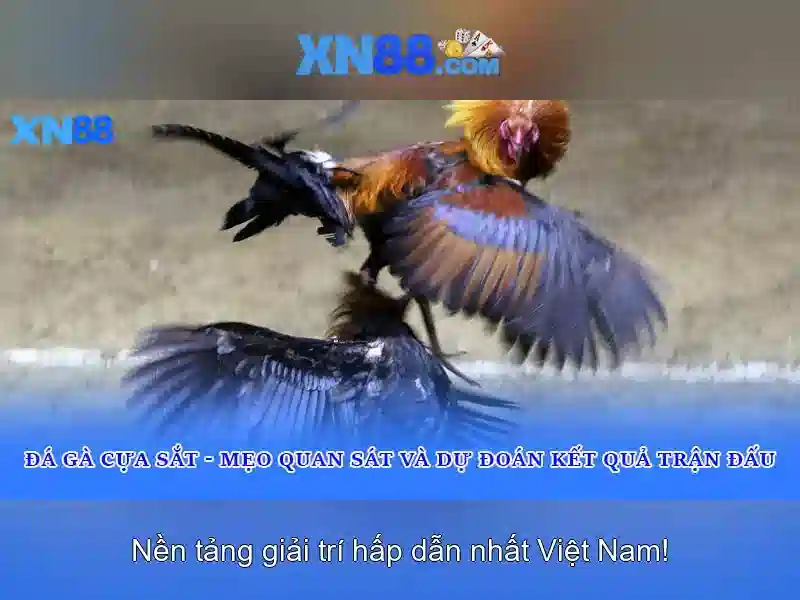 xn88: Tổng quan và hướng dẫn tham gia