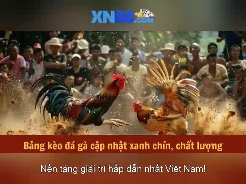 An toàn và trách nhiệm khi chơi