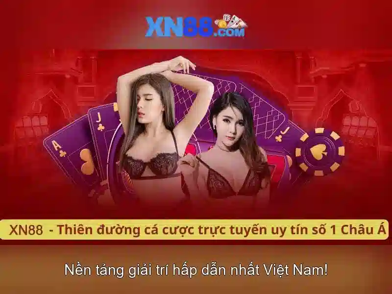 Các tính năng nổi bật