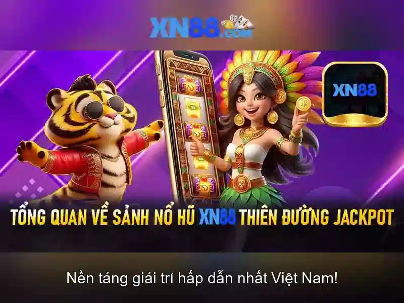 Cấu hình và trải nghiệm người dùng