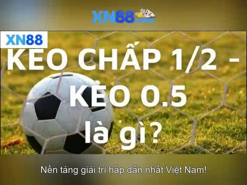 Cach-choi-ban-ca-xn88 