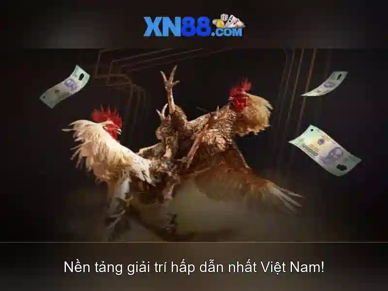 XN88 - Đánh giá và hướng dẫn an toàn cho người chơi