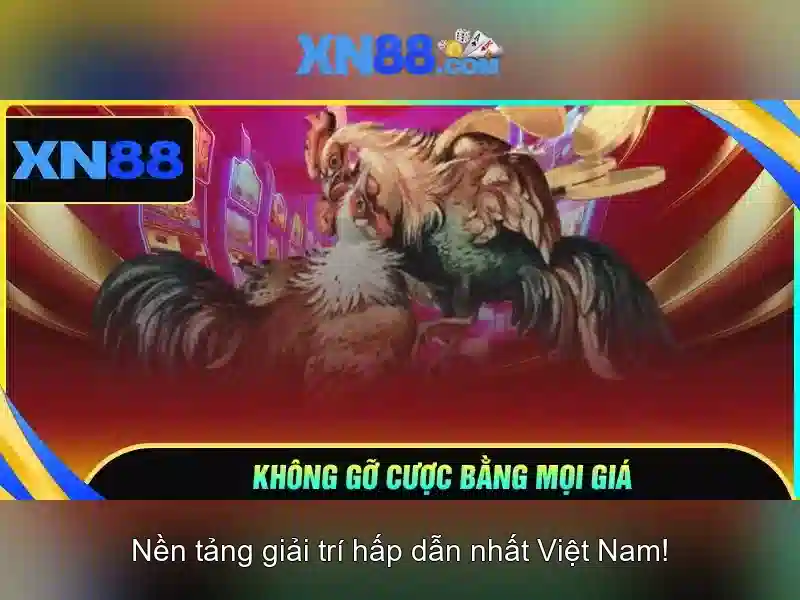 xn88: Nền tảng giải trí trực tuyến và trò chơi đa dạng