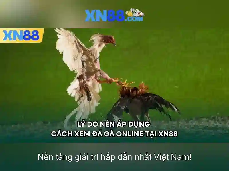 Xn88: Nền tảng giải trí trực tuyến và những điều cần biết