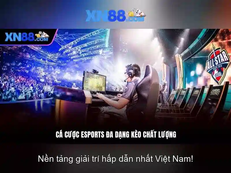 Giao diện và trải nghiệm người dùng
