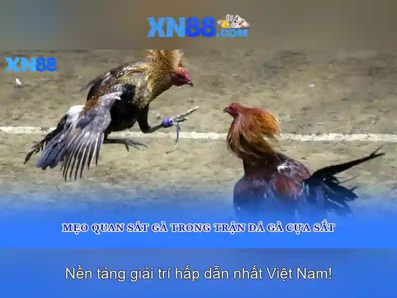 Thuật toán RTP và độ công bằng