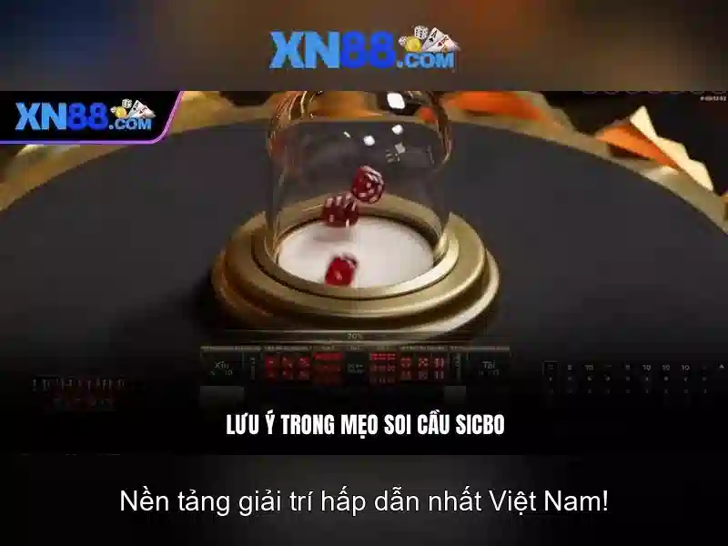 Nền tảng và chức năng