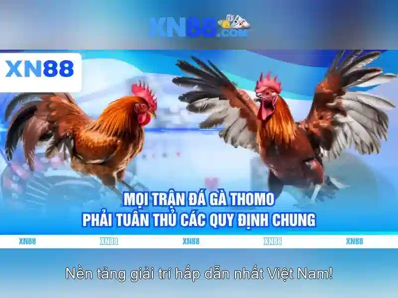 xn88: Tổng quan và đánh giá an toàn
