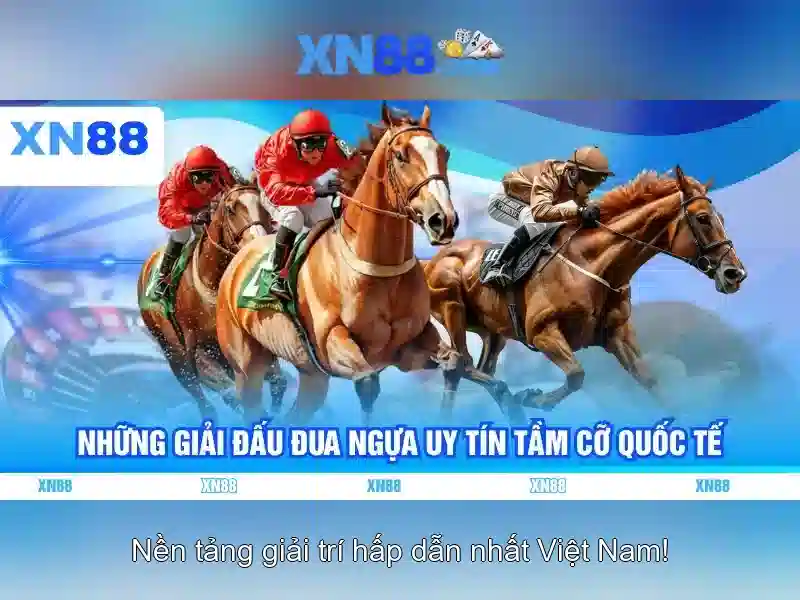 Kết luận và hướng dẫn tham gia