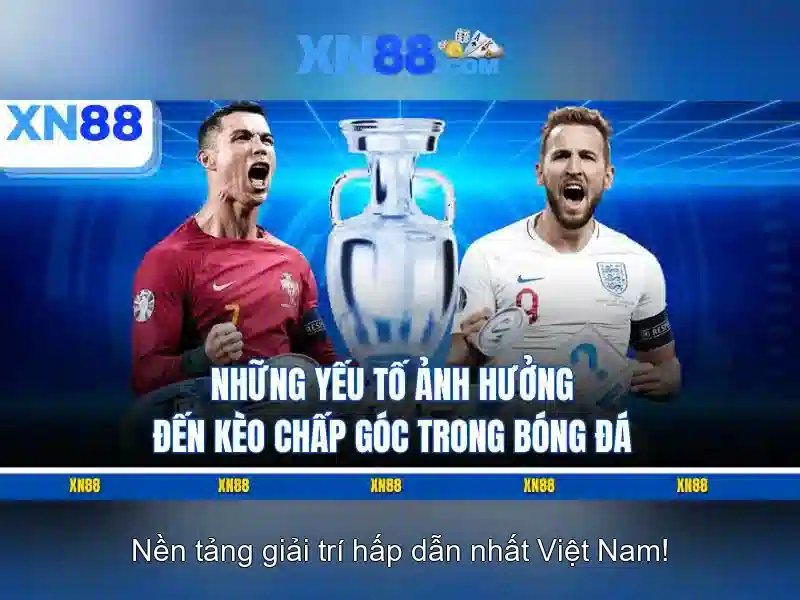 Dịch vụ và tính năng nổi bật