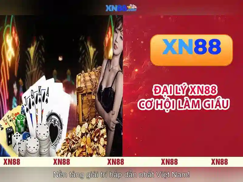 Hỗ trợ khách hàng và trải nghiệm người dùng