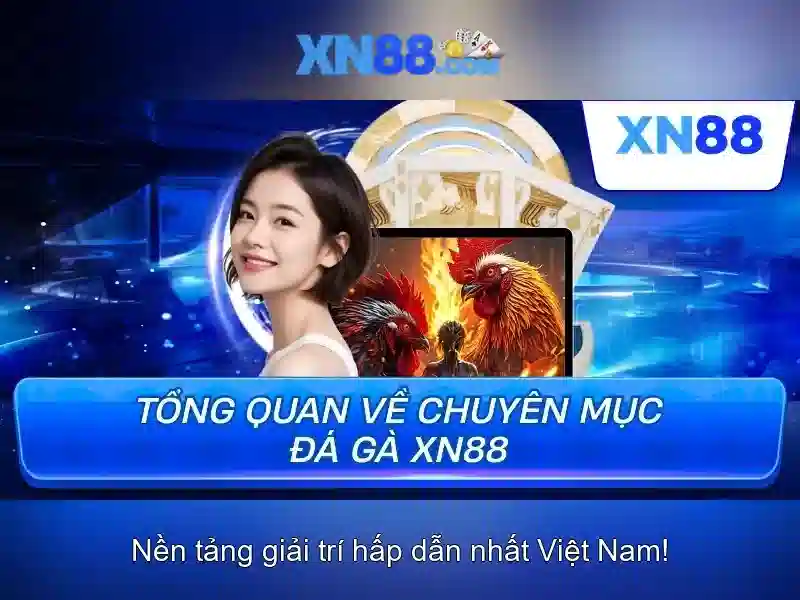 xn88 - một đánh giá tổng quan