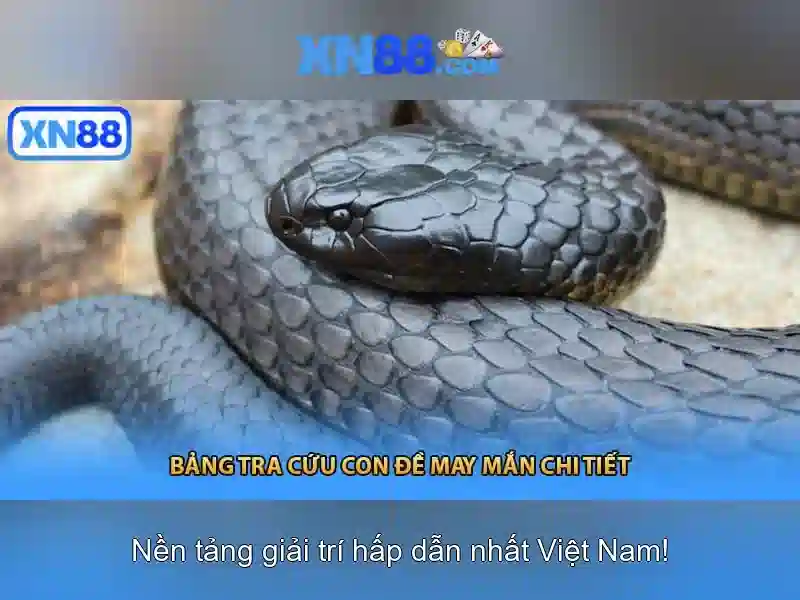 Cách tham gia và cược hợp lệ